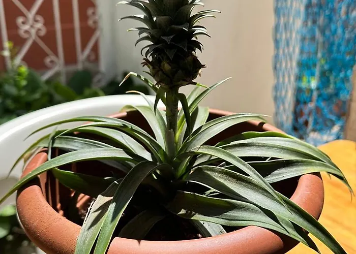 Appartamenti Gabicce Mare Διαμέρισμα Gabicce Mare