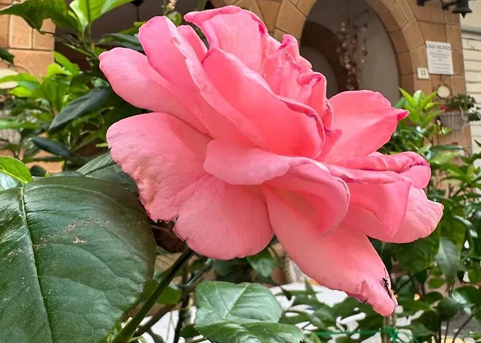 Διαμέρισμα Appartamenti Gabicce Mare