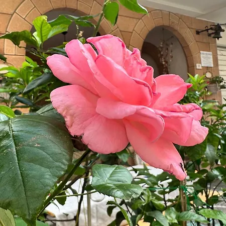 Apartment Appartamenti Gabicce Mare